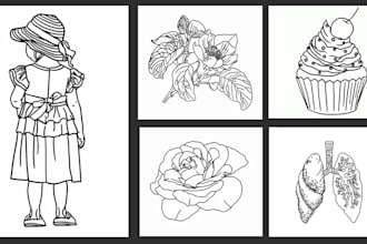 draw vector line art or line drawing illustrations