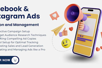 setup and manage facebook and instagram sales with high roas