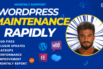 provide monthly wordpress website maintenance and support