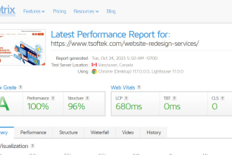 do speed optimization for wordpress and technical SEO audit