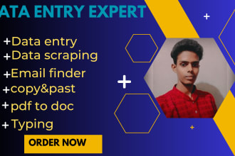 do explicit data entry, web scraping, email listing,data collect,typing job
