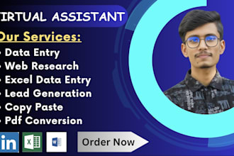 do excel data entry, web research, copy paste, pdf to excel, email find