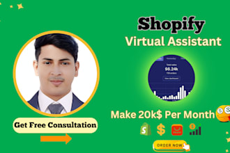 be your shopify virtual assistant and shopify developer