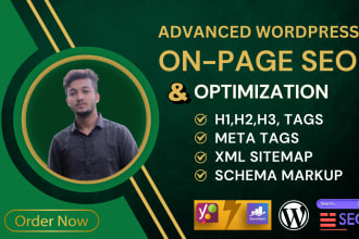 find advanced wordpress onpage seo optimization