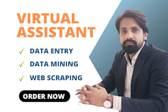 do data entry, copy paste and virtual assistant job