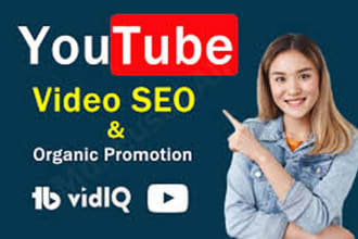 do best youtube video SEO expert optimization and channel growth manager