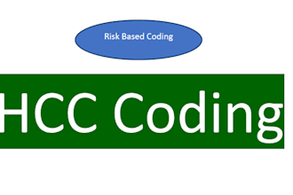 provide hcc and rxhcc coding with the highest accuracy rate