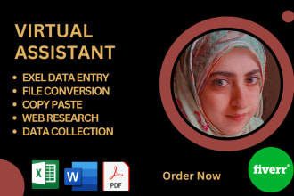 be virtual assistant for data entry, copy paste, web research email collections,