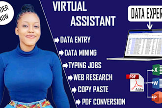 do excel data entry, convert pdf to excel, copy paste, typing and web research