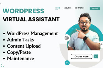 be your wordpress virtual assistant