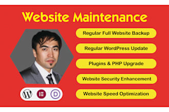 provide regular wordpress website maintenance and support
