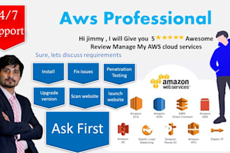 setup shopify store or manage AWS vps and shared hosting