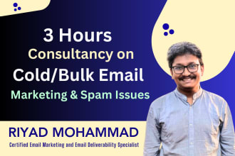 give 3 hours of cold or bulk email marketing consultation