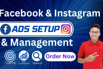 manage your fb ads, instagram ads campaign, and marketing