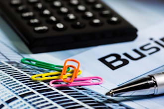prepare an investor ready business plan for you