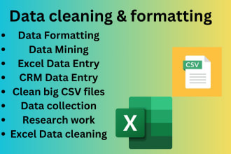 do csv, word, excel data cleaning, data entry, research work