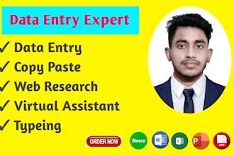 do data entry,typeing pdf to word convert expert