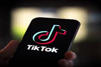 do complete tiktok business management