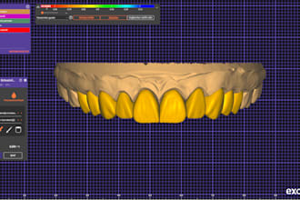 design anatomical mono, cutback and implant teeths