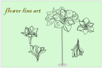 draw botanical illustration of flowers, line art