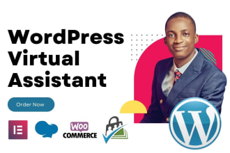 be your virtual wordpress assistant and website manager