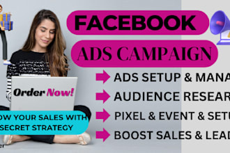 run facebook ads campaign, marketing, advertising  ad manager
