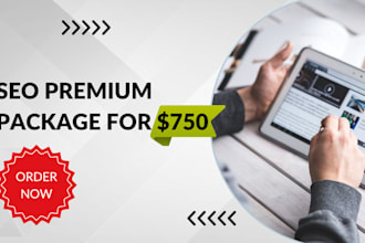 provide SEO premium package backlinks, on page, off page, and optimization