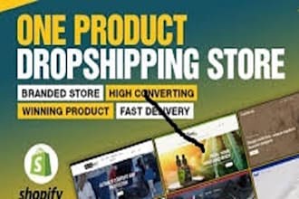 set up profitable shopify dropshipping store
