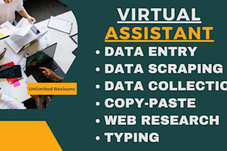 do data entry, data input, copy paste, and data collection