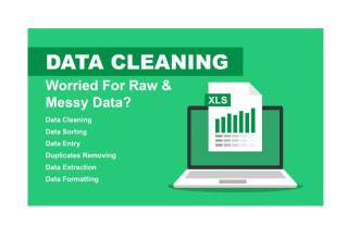 do excel data cleaning, excel spreadsheet clean up with your perfect expectation