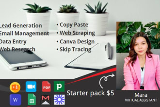 do data entry, web scrapping, web research and skip tracing