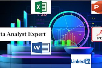 data analyst professional work