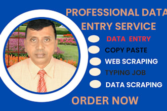 do web research, data collection, ecommerce, typing job