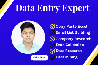 do data entry, web research and convert pdf to excel