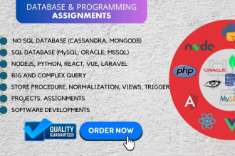 be your database and programming assignment assistance