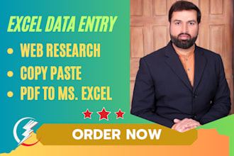 do accurate excel data entry and typing jobs in a modest price