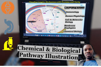 offer chemical and biological pathway illustration