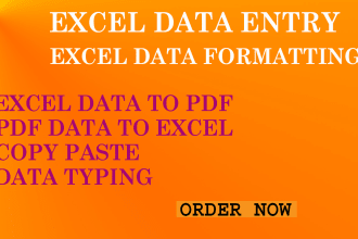 do best excel data entry, excel data cleaning and formatting