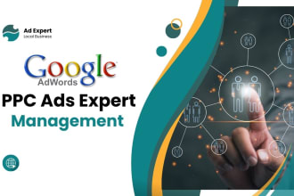 setup google PPC ads campaign, for your local business