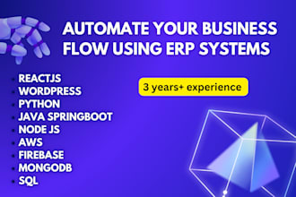 develop erp systems for your business