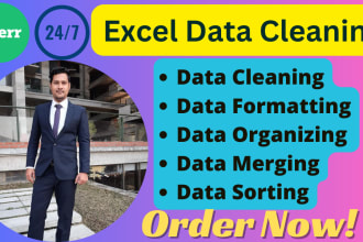 clean, format, organize, merge, scrub, and sort excel or CSV data