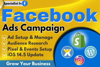 setup and manage your shopify facebook ads campaign