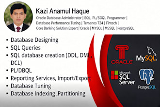 provide expert oracle dba and  plsql programming services