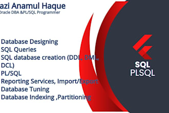 provide expert oracle dba and  plsql programming services