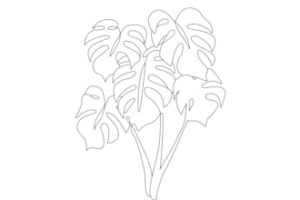 draw a botanical illustration of flowers, plants, line art
