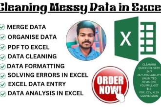 excel data cleaning, excel data entry, data cleanup