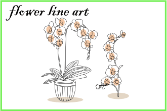 create botanical line art illustration, flower, hand drawn