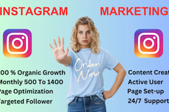 instagram marketing or promotion for fast organic growth