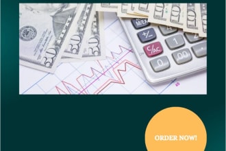 write economic, business essays, research and case study