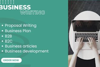 write detailed business plan and finance content